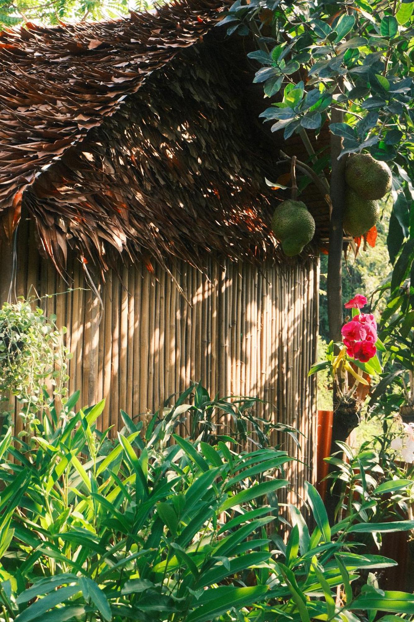 Madam Sokha Homesteading Siem Reap