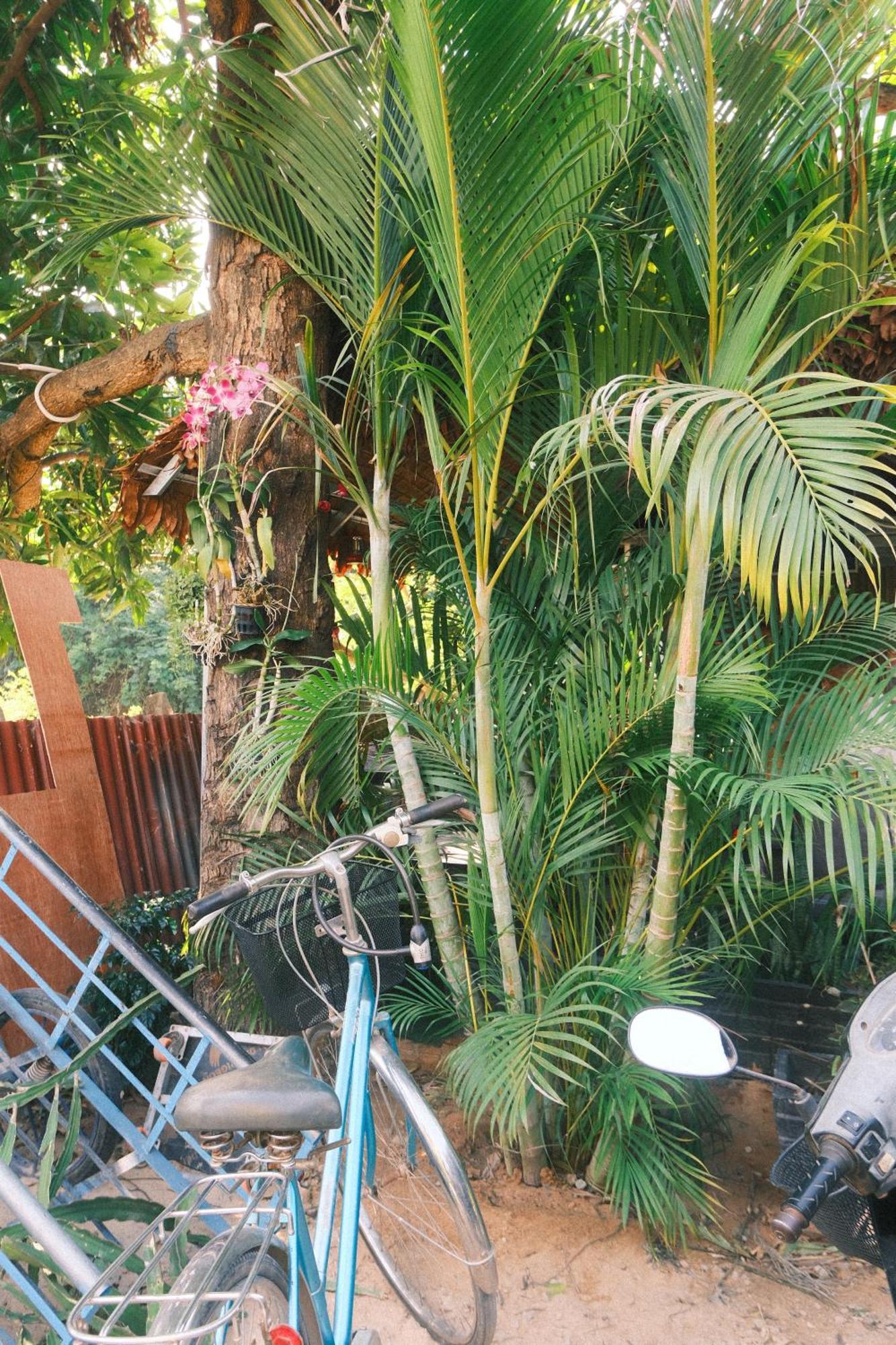 Holiday home Madam Sokha Homesteading Siem Reap